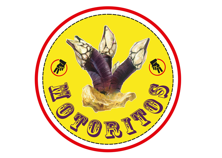 Motoritos